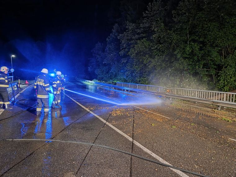 Baum auf Fahrbahn 6